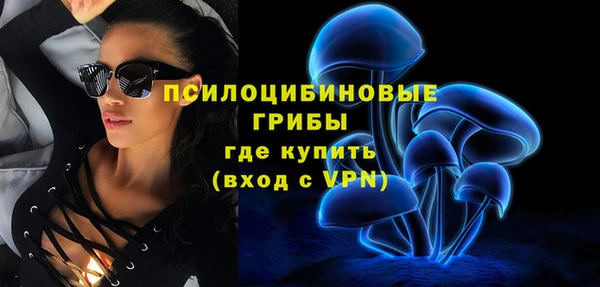гидра Арсеньев