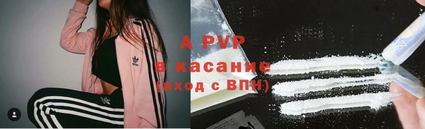 гидра Арсеньев