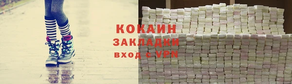 гидра Арсеньев